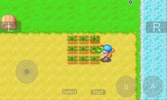 Imagen 3 para Harvest Moon MVG for Wind…