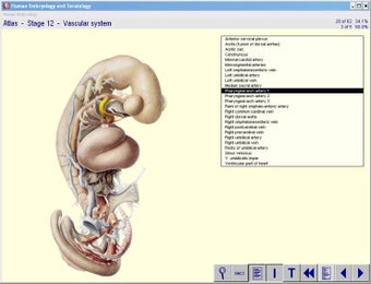 Image 1 for Human Embryology and Tera…