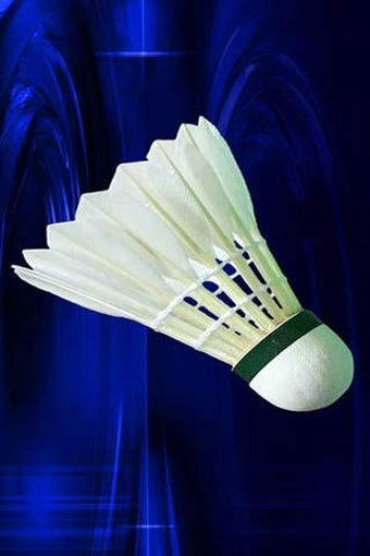 Imagen 0 para 3D Badminton Olympic Tour…