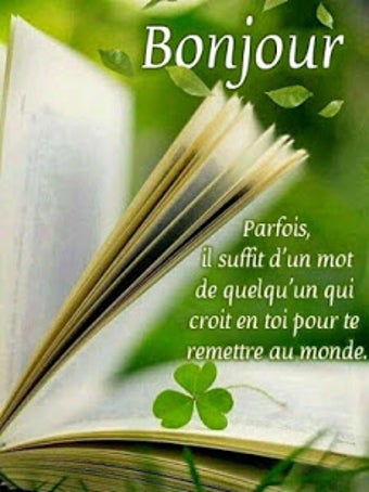 Imagen 1 para bonjour bonne nuit bonsoi…