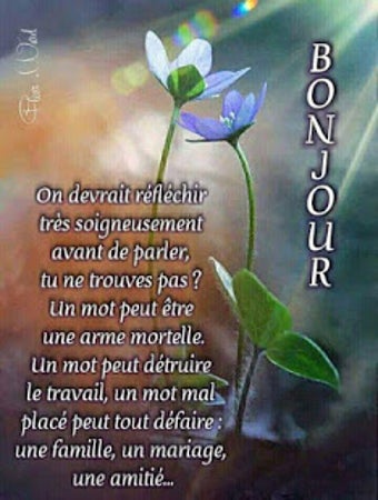 Imagen 0 para bonjour bonne nuit bonsoi…