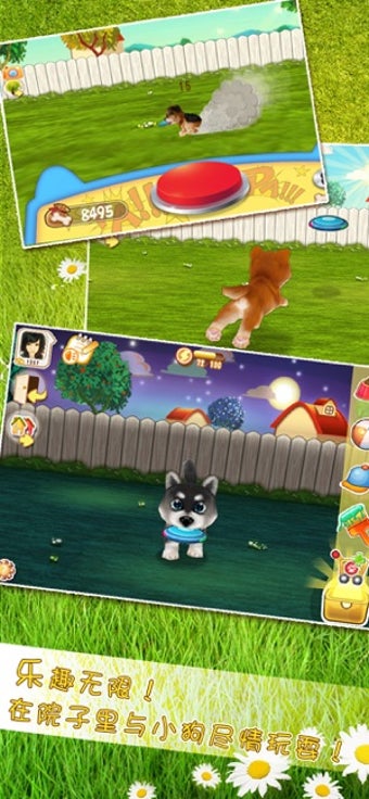 Imagen 1 para Hi Puppies