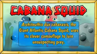 Imagen 0 para Cabana Squid