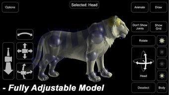 Image 1 for Tiger Mannequin