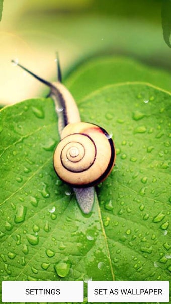 Image 0 for Home Screen Live Wallpape…