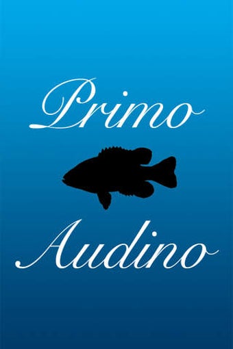 Image 0 for PRIMO AUDINO AREA