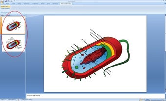 Imagen 0 para Flashcard Generator