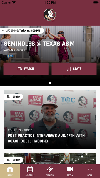 Image 0 for Florida State Seminoles G…