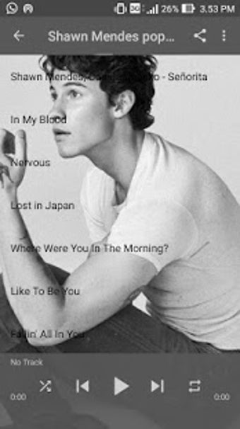 Image 0 for Shawn Mendes - Senorita