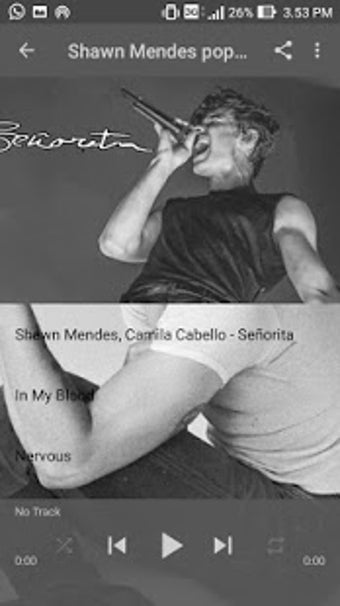 Image 2 for Shawn Mendes - Senorita