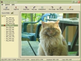 Image 0 for Digital Frame Mate