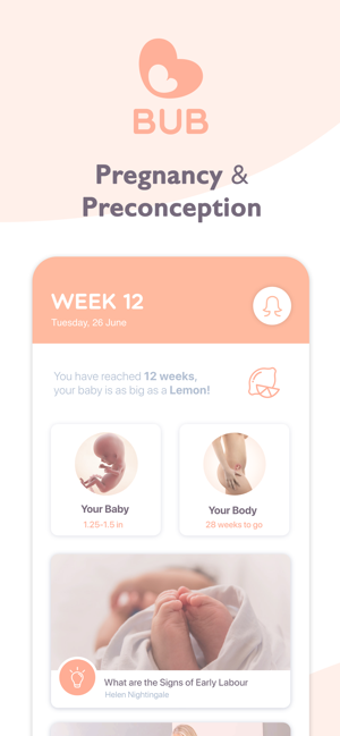 Imagen 0 para BUB - Pregnancy Companion