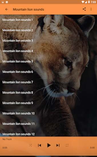 Image 1 for Mountain Lion Sounds