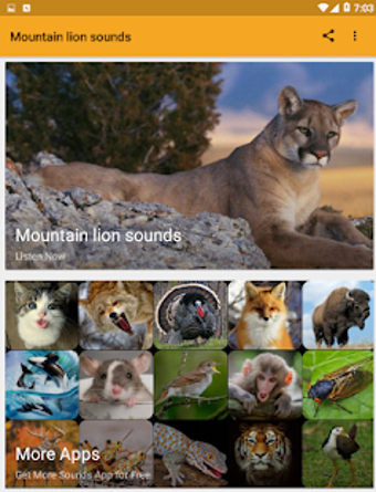 Image 2 for Mountain Lion Sounds