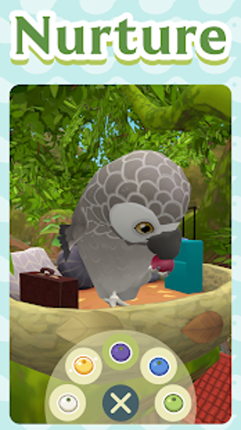 Image 0 for Bird bnb (Early Access)