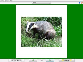 Image 0 for Flash Card Reveal