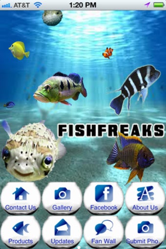 Image 3 for Fish Freaks