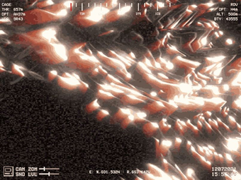 Image 0 for NODOMUS