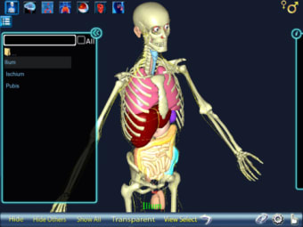 Image 0 for Human Body 3D for iPad