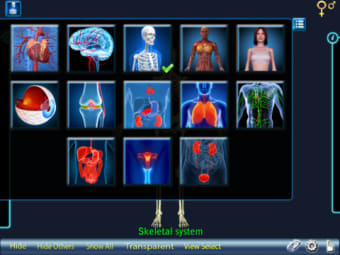 Image 3 for Human Body 3D for iPad