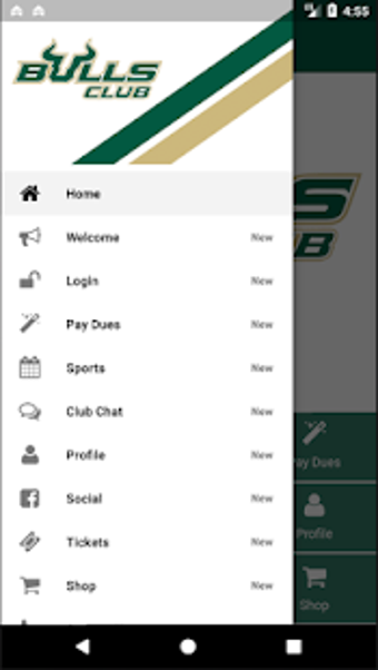 Image 1 for USF Bulls & Varsity Club