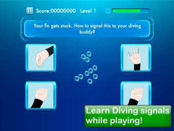 Image 0 for Diving quiz