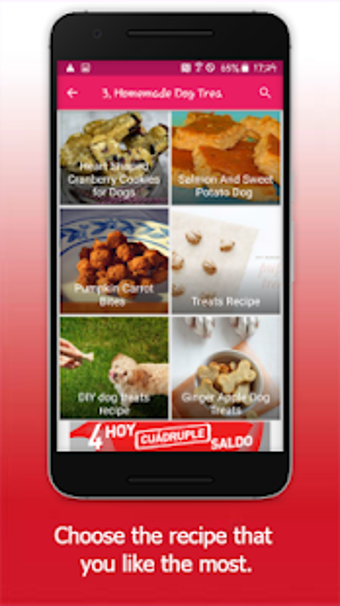 Image 0 for Dog Food Recipes: Dog Foo…