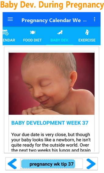 Imagen 2 para pregnancy calendar week b…