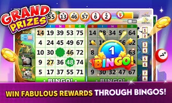 Imagen 0 para Bingo: Lucky Bingo Wonder…