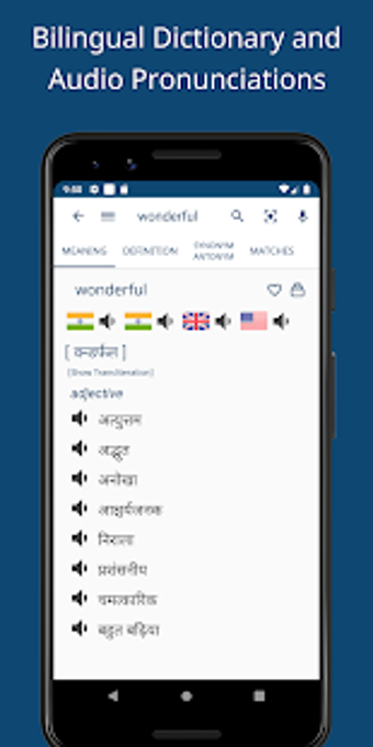 Image 0 for English Hindi Dictionary …