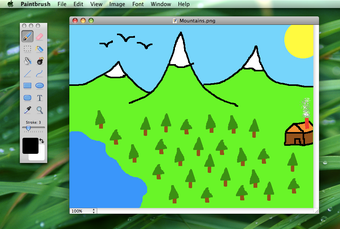 Imagen 1 para Paintbrush
