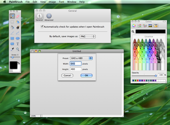 Imagen 2 para Paintbrush