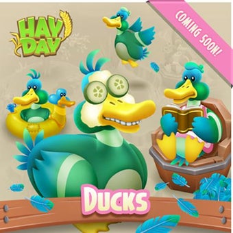 Image 5 for HDAY