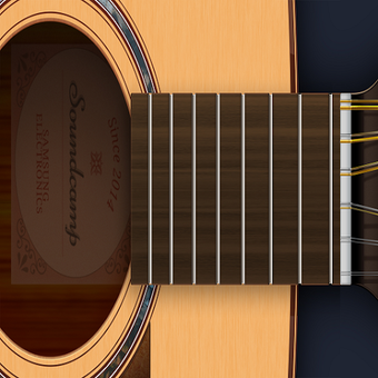 Image 0 for Acoustic(12 strings) Guit…