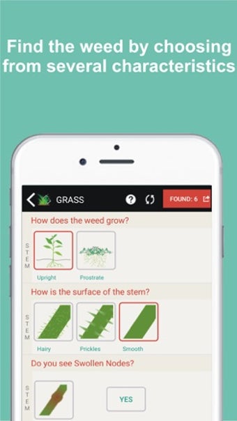 Image 0 for Savvy Weed ID & Control