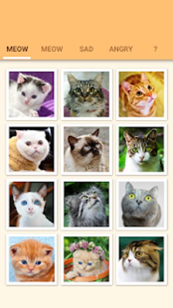 Image 2 for Cat Kitten Meow Sound Boa…