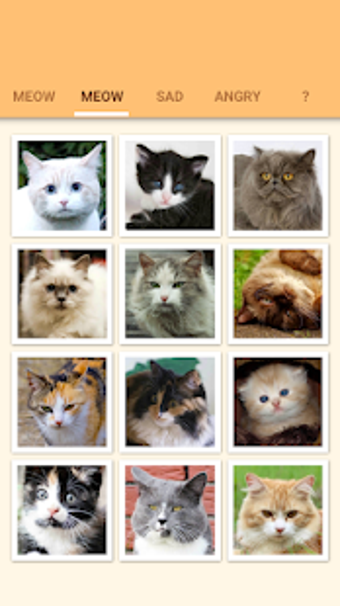 Image 3 for Cat Kitten Meow Sound Boa…