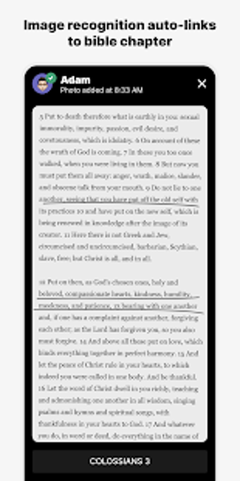 Image 3 for Twelve: Read the Bible da…