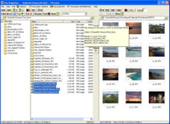 Image 0 for FileOrganiser Portable