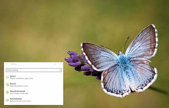 Image 0 for Butterflies Theme