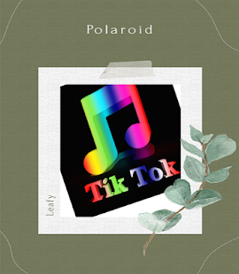 Image 3 for Tik Tok private