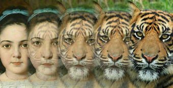 Image 0 for Zooface - GIF Animal Morp…