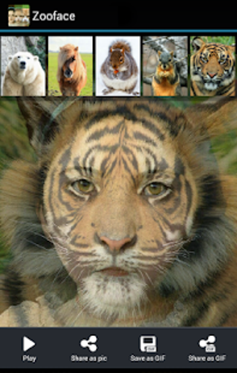 Image 3 for Zooface - GIF Animal Morp…
