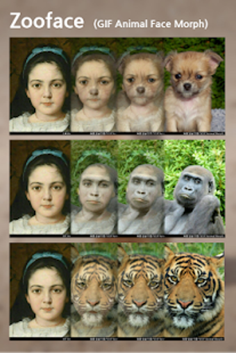 Image 2 for Zooface - GIF Animal Morp…