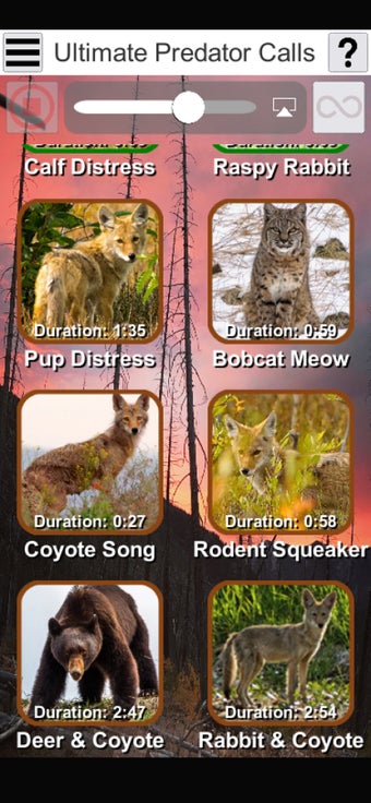 Image 1 for Ultimate Predator Calls