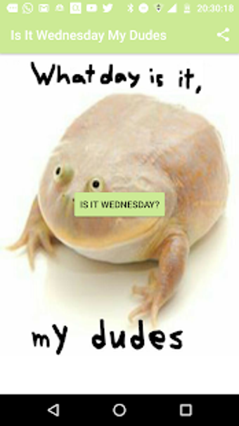 Image 0 for Is It Wednesday My Dudes?