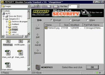 Image 0 for Absolute Security