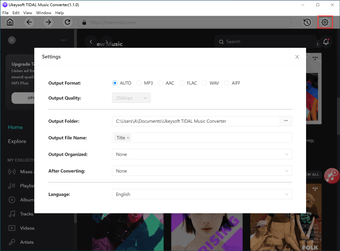 Image 2 for UkeySoft Tidal Music Conv…