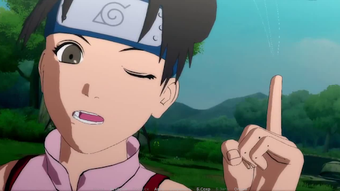 Image 1 for Naruto: Ninja Evolution -…