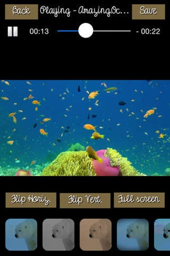 Image 0 for Motion Effects